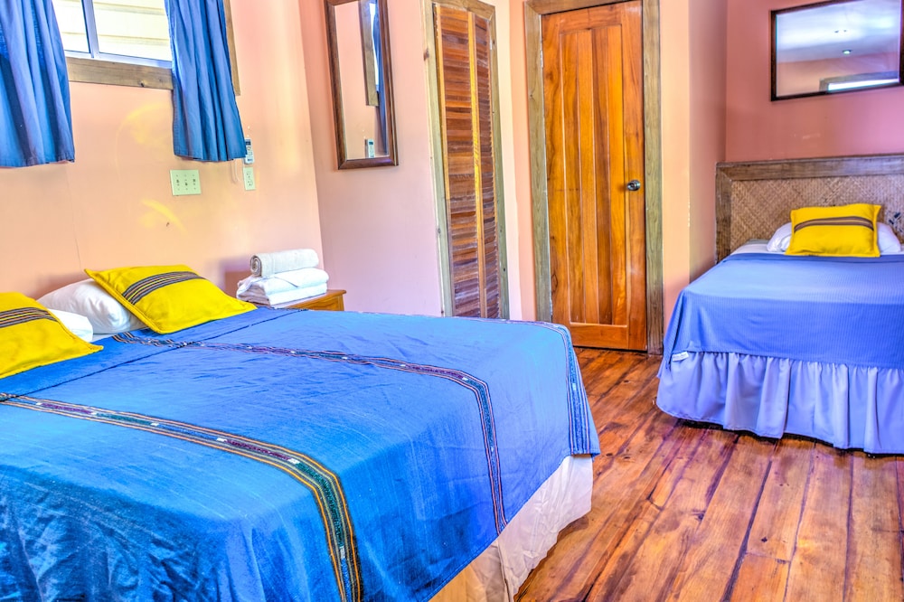 Basic Room, 1 Bedroom, Garden View photo 2