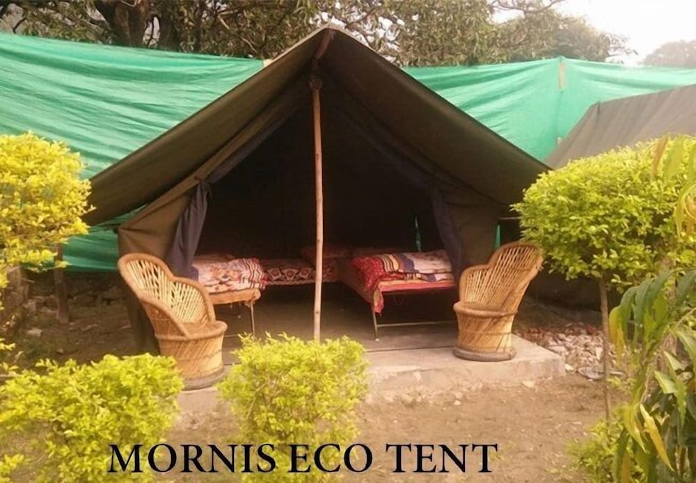 Economy Tent, 1 Double Bed, Non Smoking photo 2