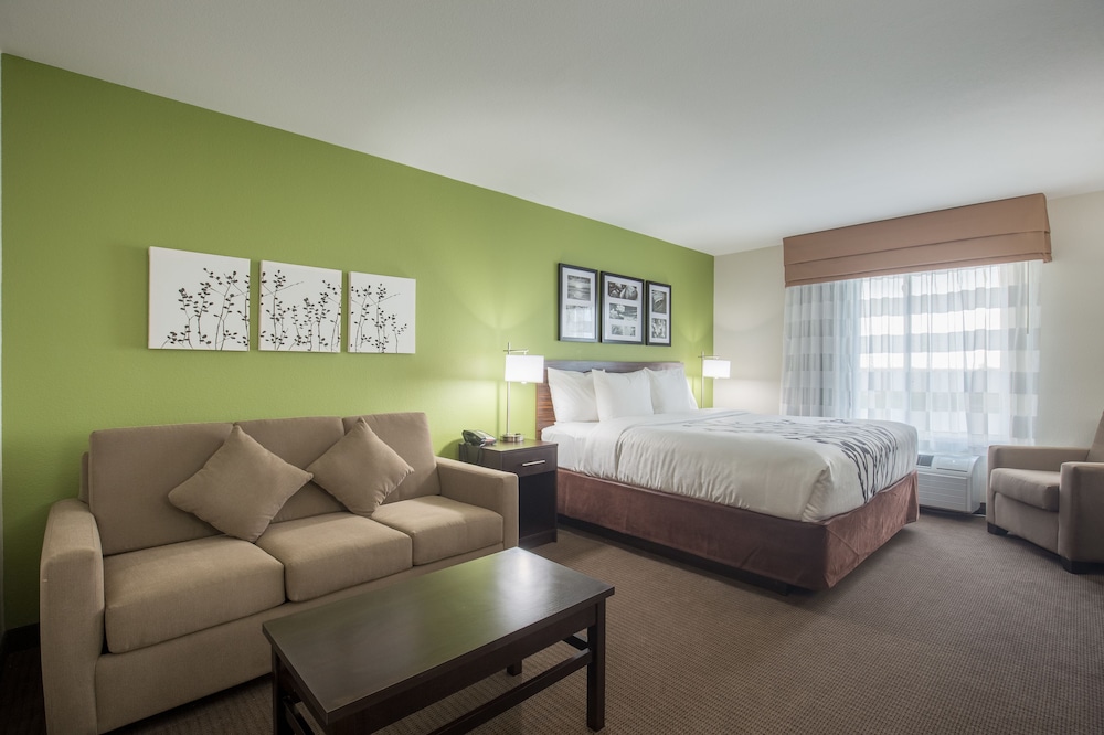 Signature Room, 1 King Bed, Non Smoking