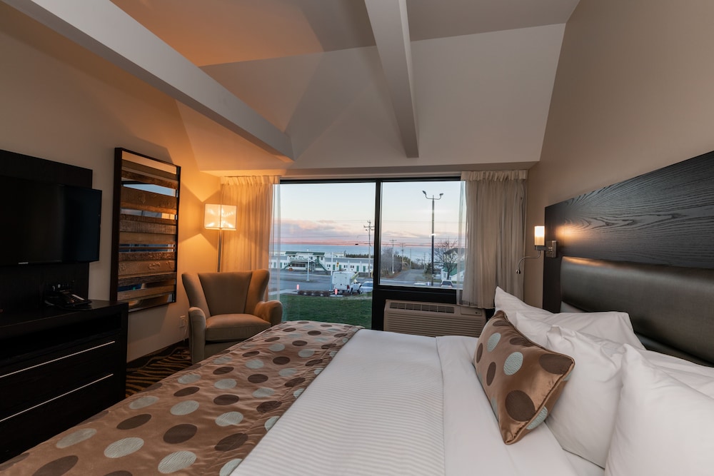 Confort suite 1 king bed - Photo 3