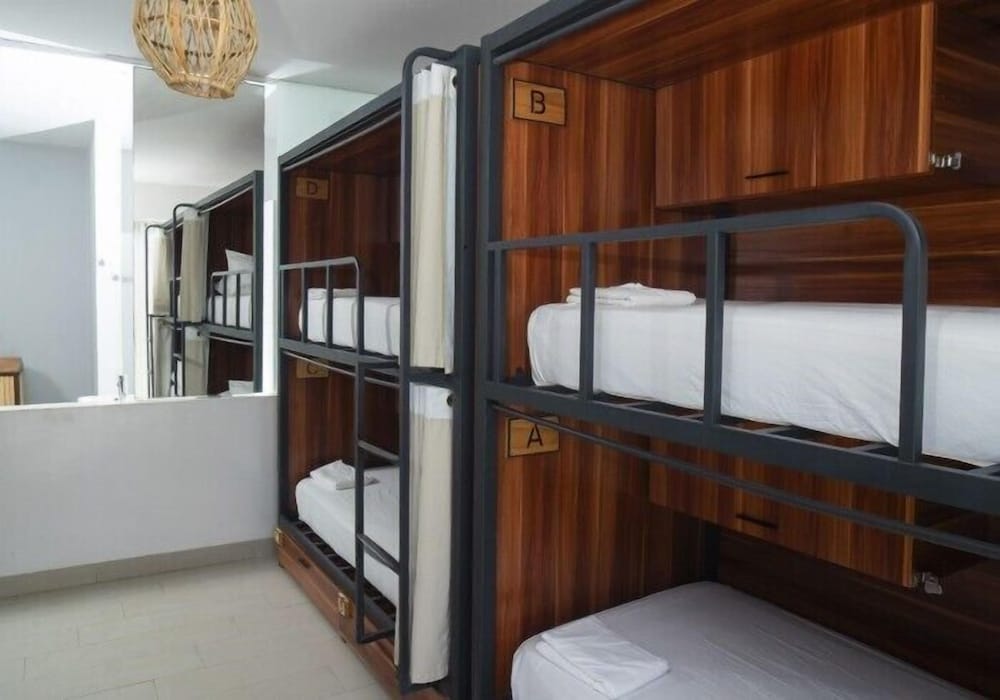 Standard Shared Dormitory, Women only photo 2