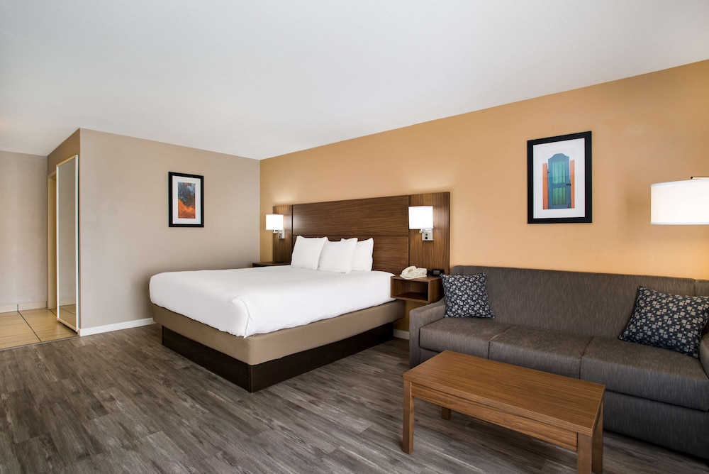 Standard Room, 1 King Bed, Non Smoking, Refrigerator & Microwave (with Sofabed) - Photo 4