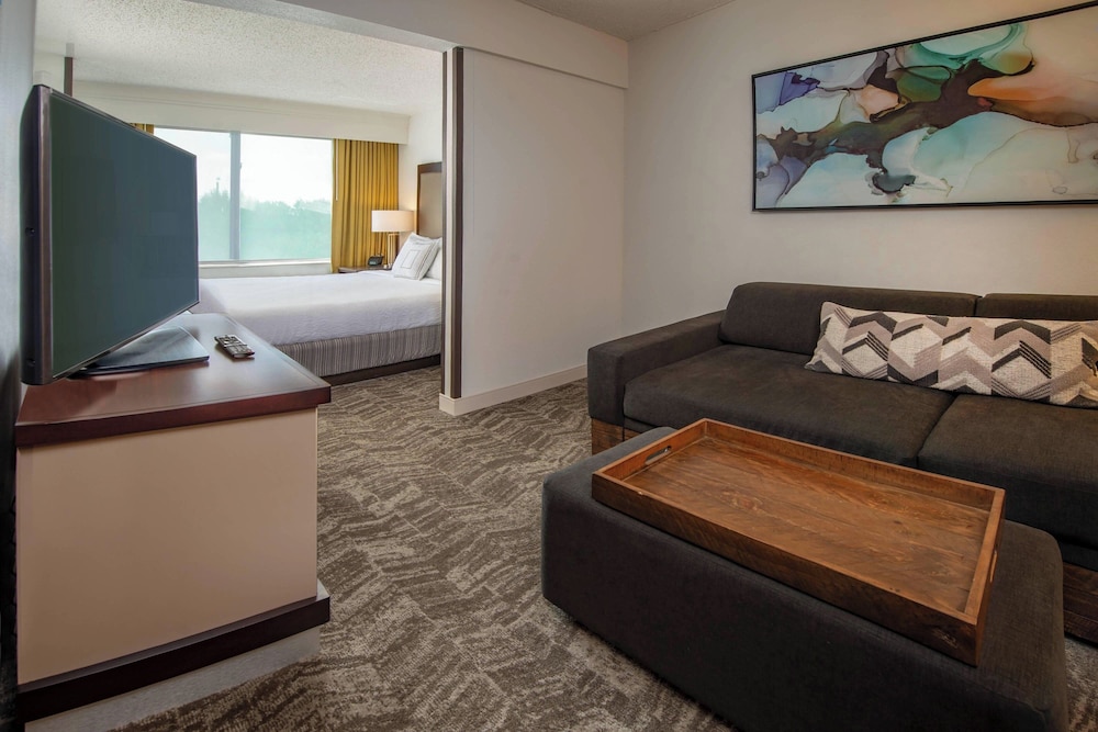 Suite, 1 King Bed photo 3