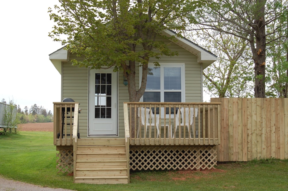 Cottage, 1 King Bed (Open Concept)