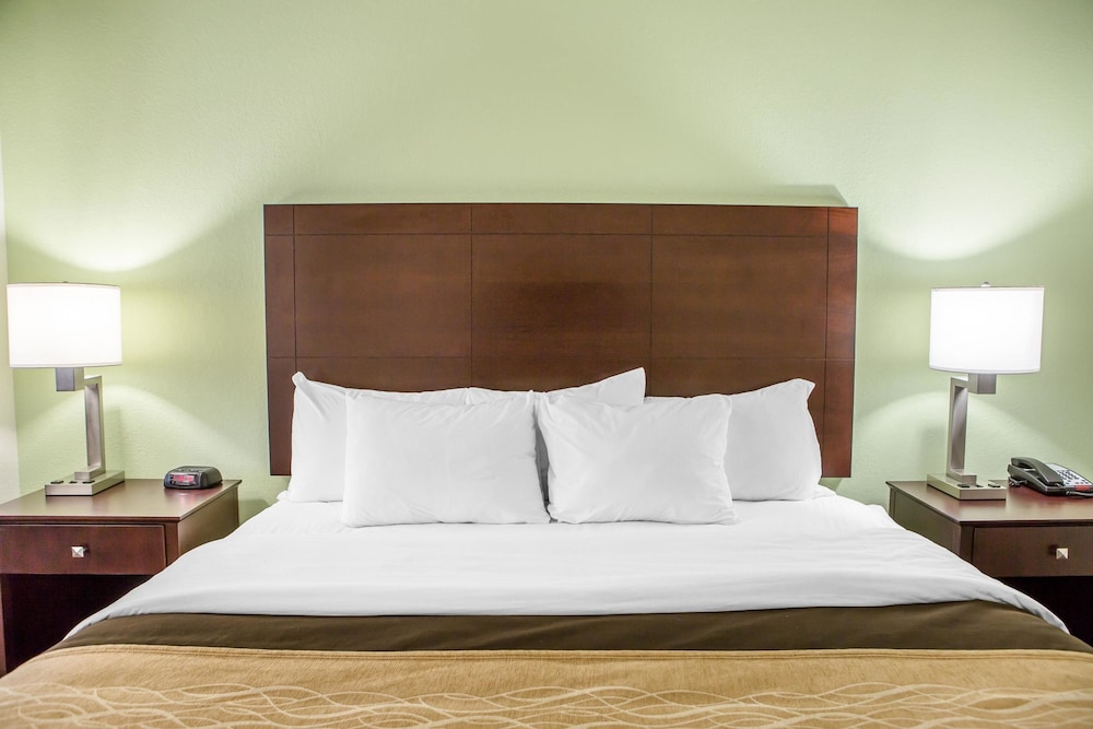 Room, 1 King Bed, Accessible, Non Smoking photo 3