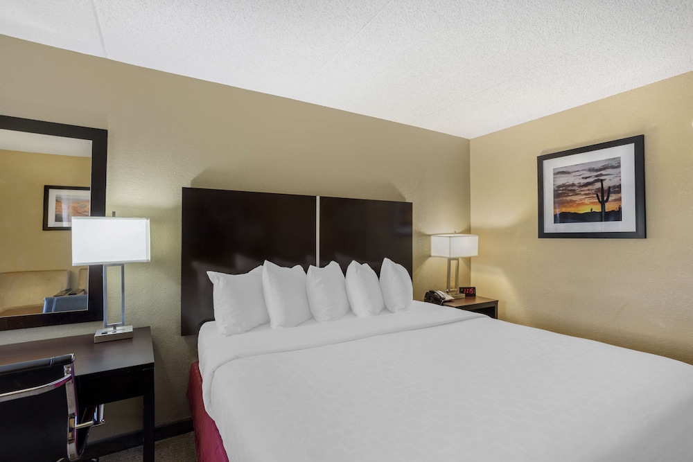 Standard Room, 1 King Bed, Non Smoking, Microwave (with Sofabed) - Photo 1