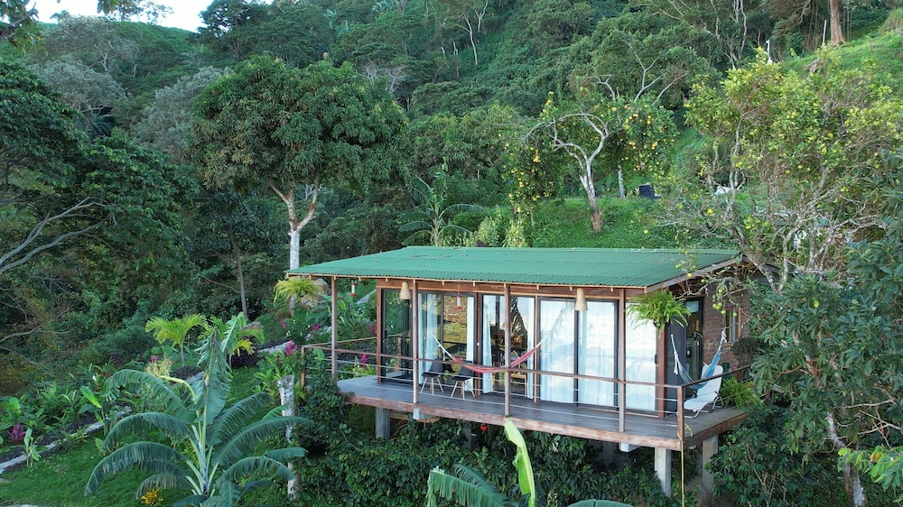 Panoramic Cabin, Multiple Beds, Terrace, Ocean View photo 1