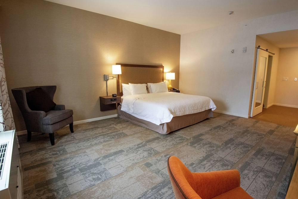 Room, 1 King Bed, Accessible, Bathtub (Mobility & Hearing) photo 1