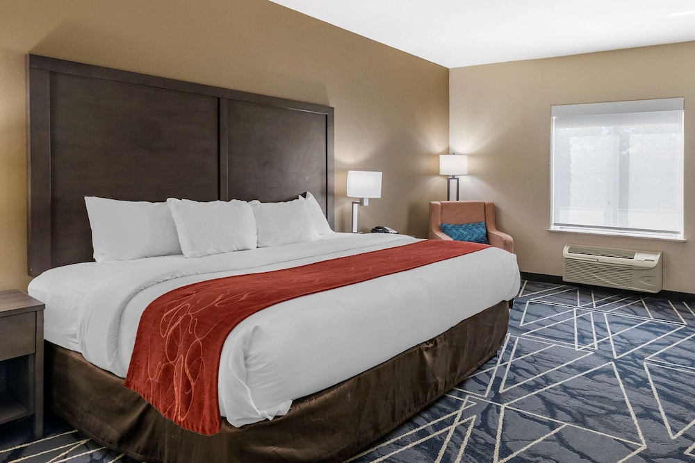 Suite, 1 King Bed, Accessible, Non Smoking photo 2