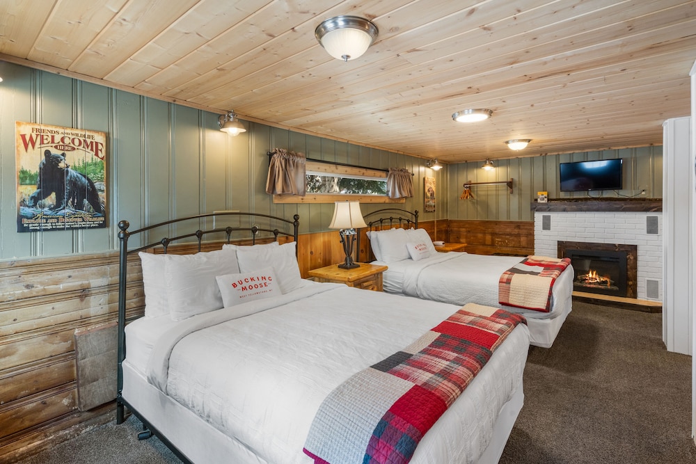 Wolf Suite photo 1