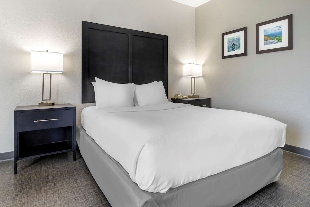 Basic Room, 1 Queen Bed, Accessible, Non Smoking - Photo 9