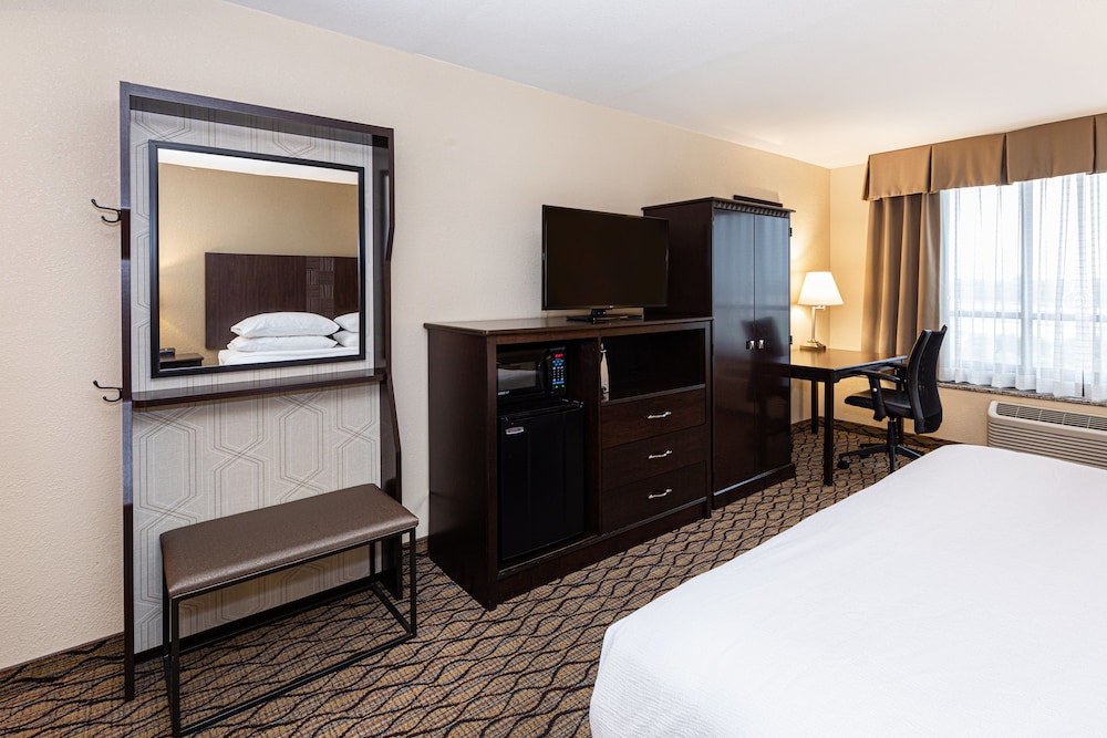 Suite, 1 Bedroom, Accessible (Communications, Accessible Tub) - Photo 4