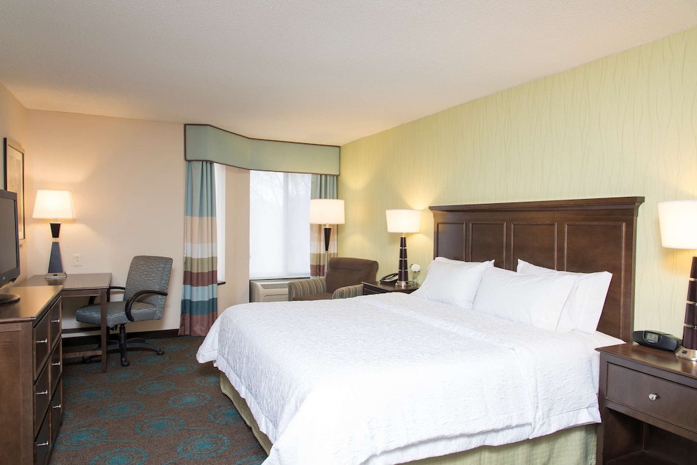 Suite, 1 King Bed, Non Smoking, Fireplace photo 2