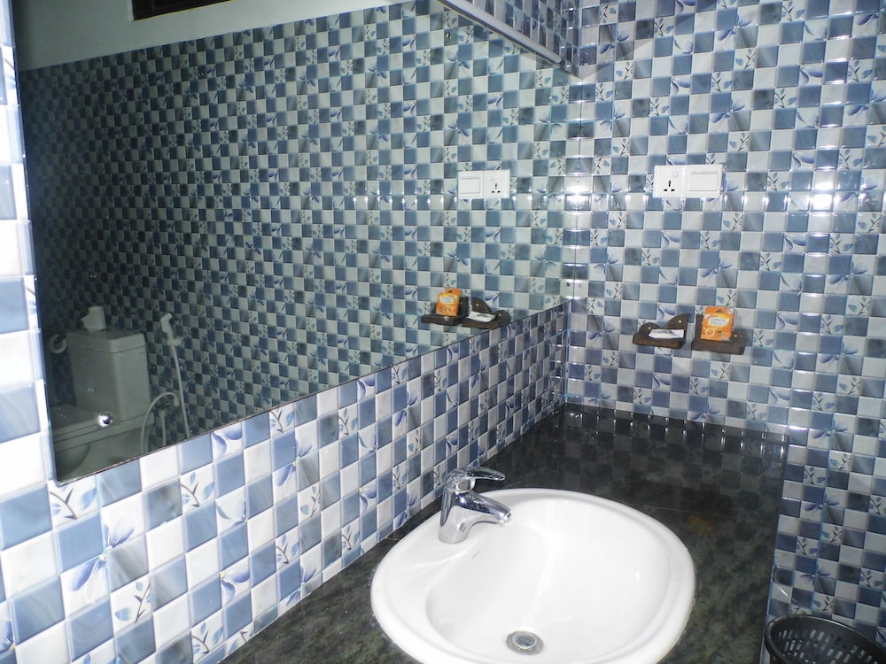 Deluxe Double or Twin Room photo 3