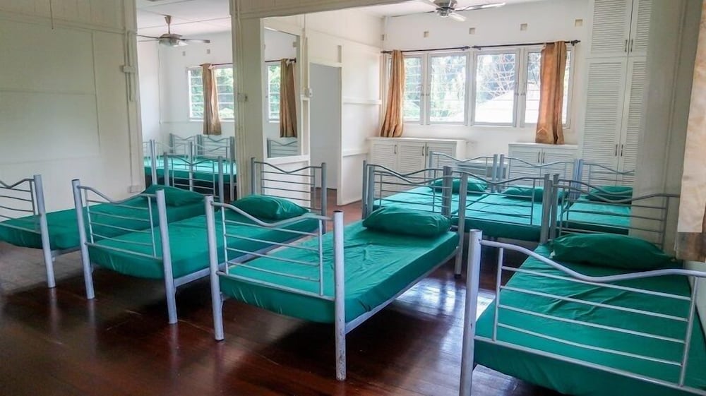 Comfort Shared Dormitory, Multiple Beds
