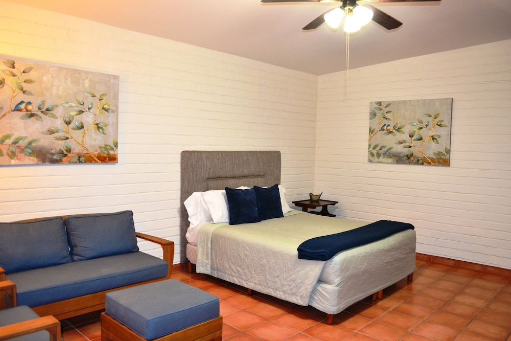 Standard Studio, 1 King Bed, Garden View