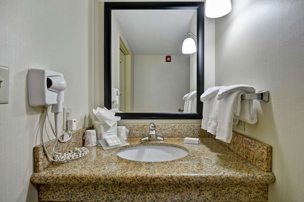 Room, 1 King Bed, Accessible, Non Smoking (Roll-in Shower) - Photo 1
