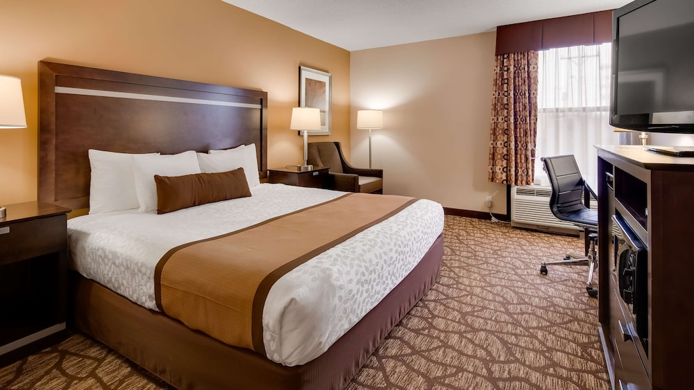 Standard Room, 1 King Bed, Accessible, Non Smoking (Walk-in Shower)