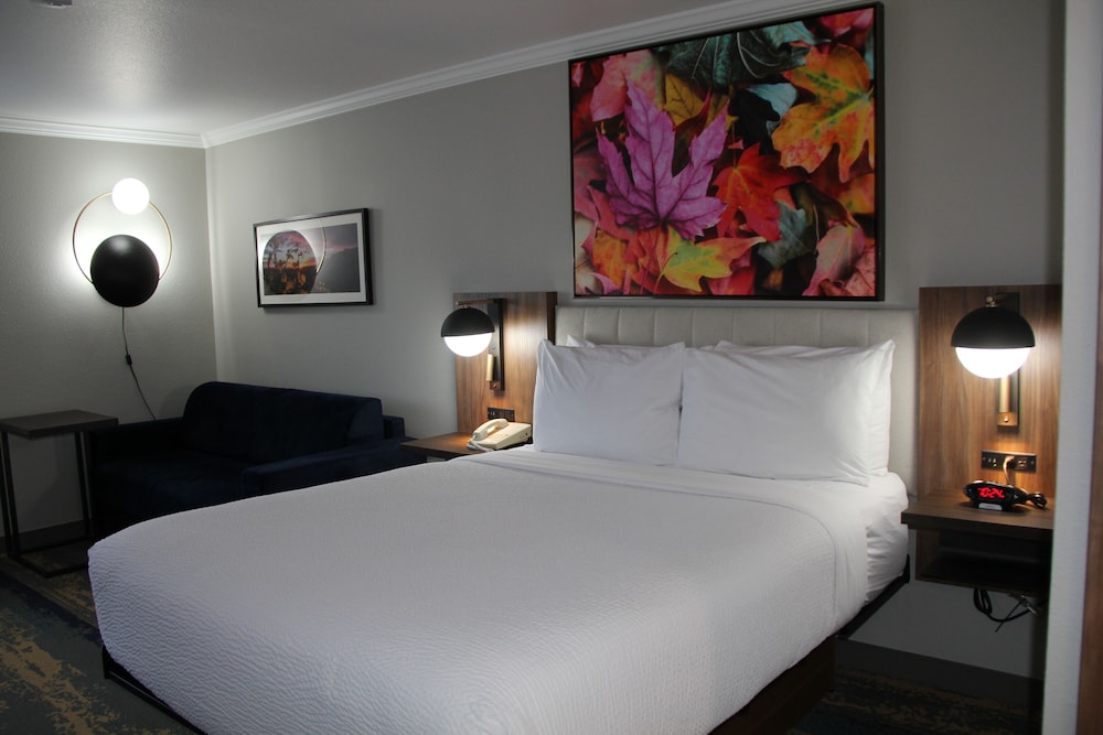 Deluxe Room, 1 Queen Bed, Non Smoking (Efficiency) - Photo 2