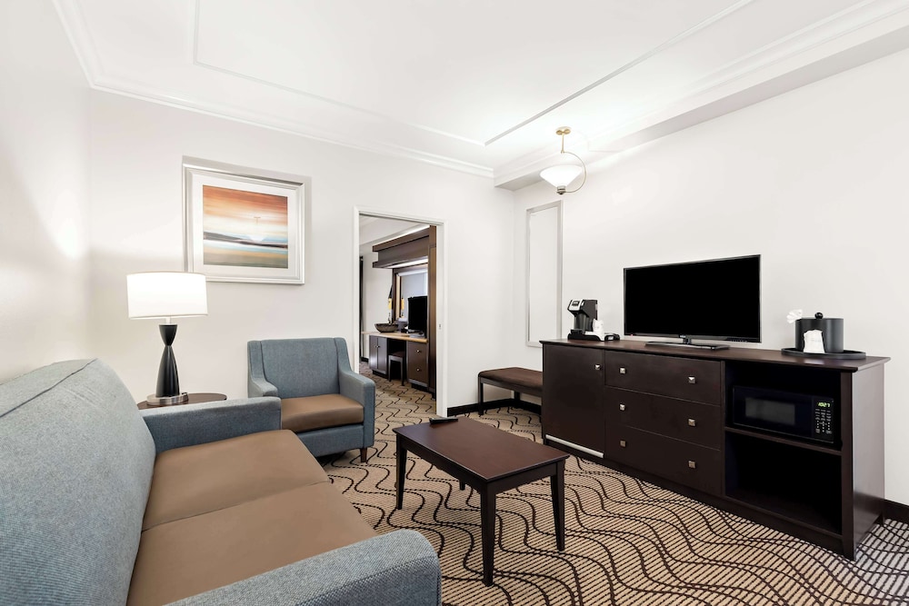 Suite, 1 King Bed, Non Smoking, Refrigerator & Microwave (with Sofabed) photo 3