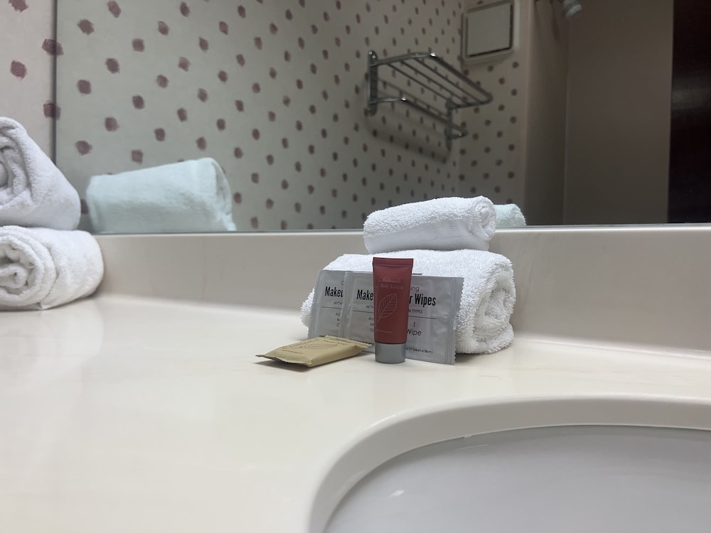 Orlando Palms Hotel, 사진 7