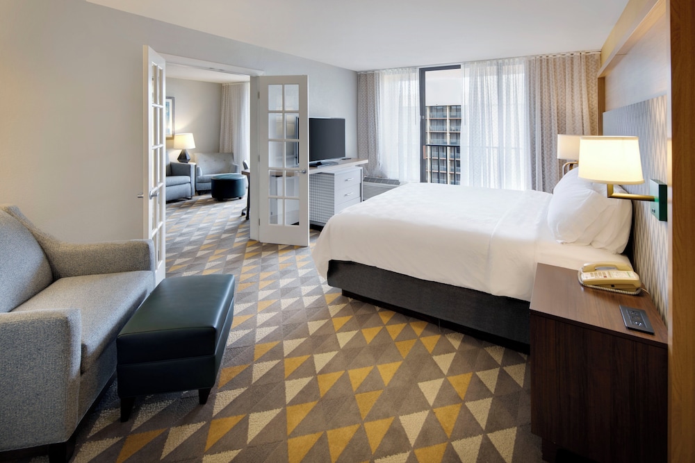 Suite, 1 King Bed with Sofa bed