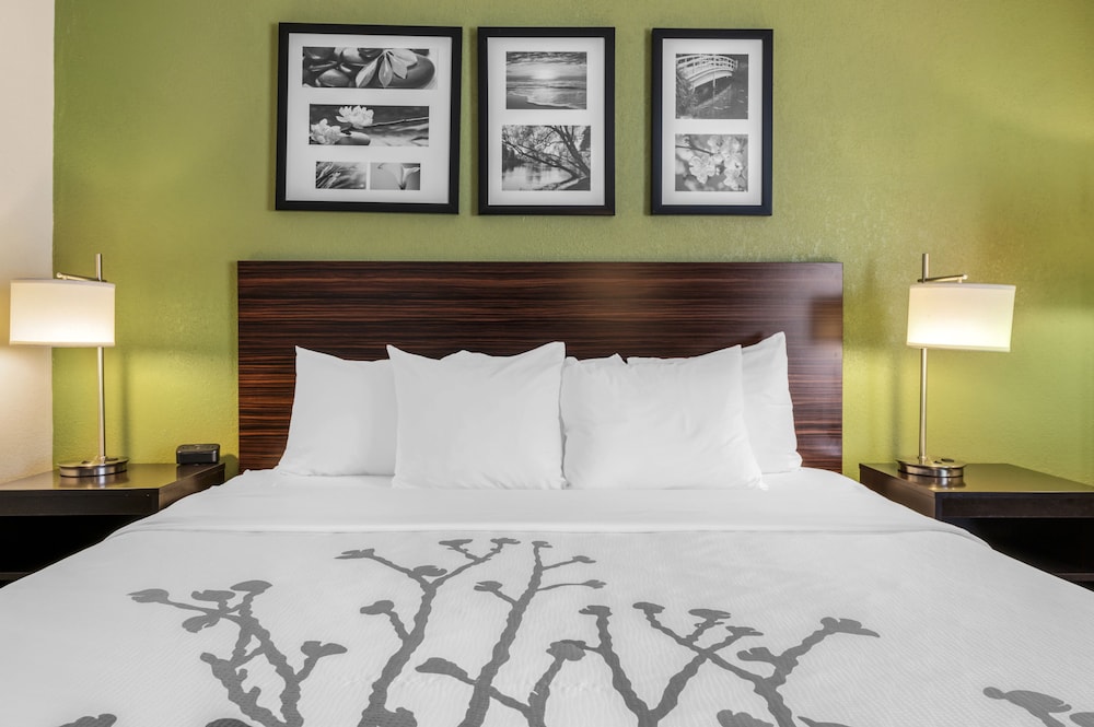 Standard Room, 1 King Bed, Non Smoking - Photo 4