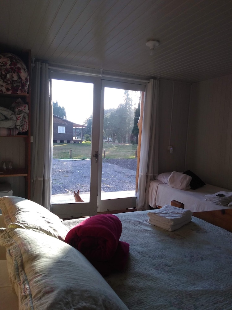 Standard Cabin