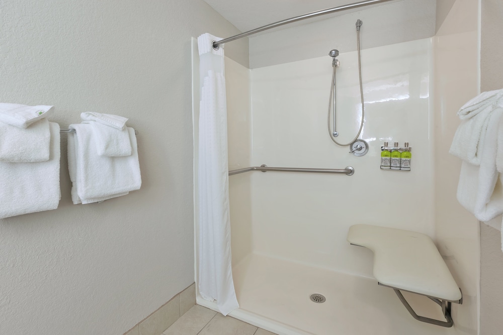Standard Room, 1 King Bed, Accessible (Roll-In Shower) - Photo 4