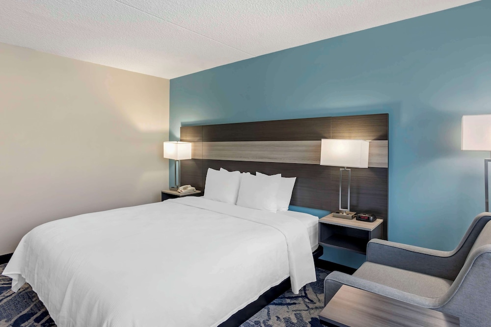 Standard Room,1 King Bed, Accessible, Roll-in Shower, Refrigerator & Microwave - Photo 8