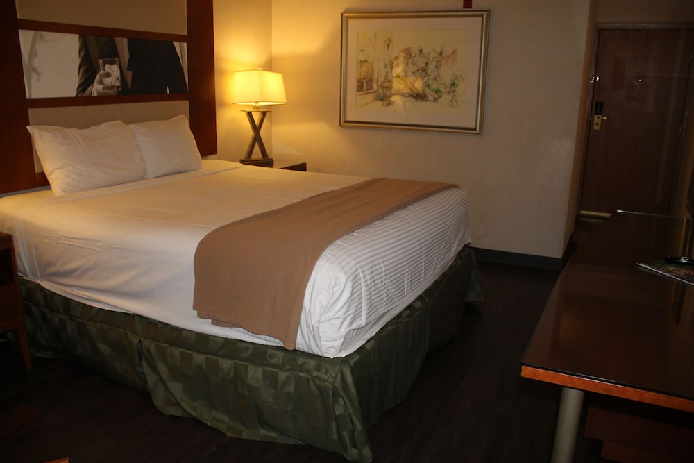 Deluxe Suite (1 King Bed Non Smoking) photo 1