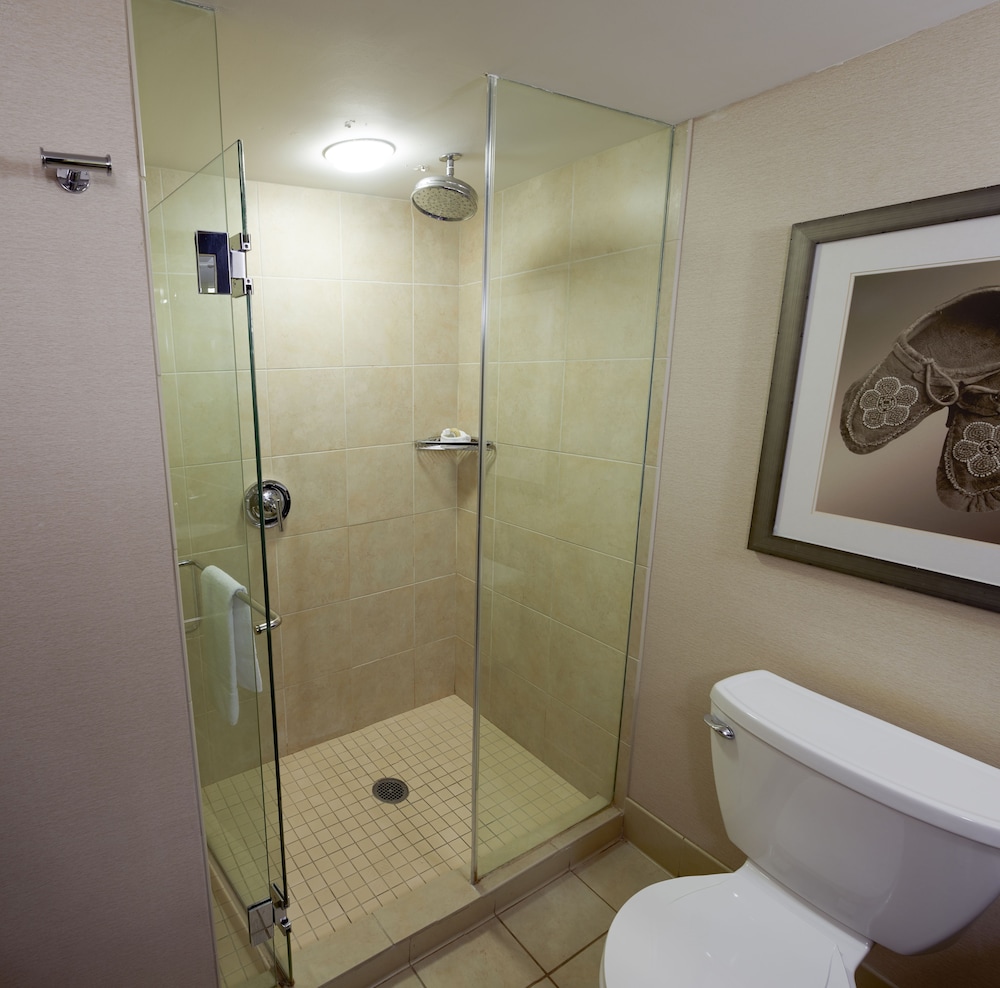 Deluxe Room, Smoking photo 2