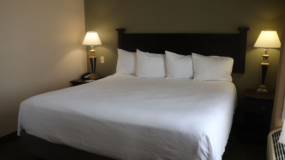 Suite, 1 King Bed with Sofa bed, Non Smoking, Refrigerator & Microwave - Photo 2