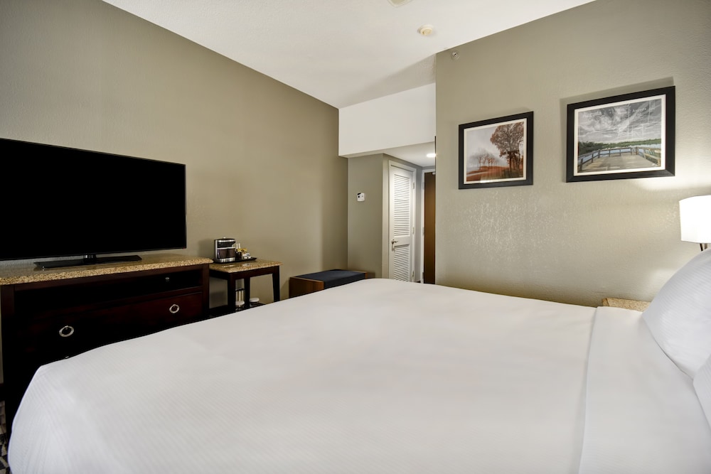 Room, Accessible, Non Smoking photo 2