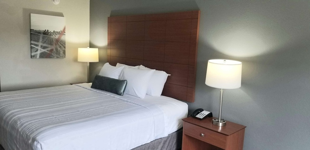 Standard Room, 1 King Bed, Non Smoking, Refrigerator & Microwave - Photo 2