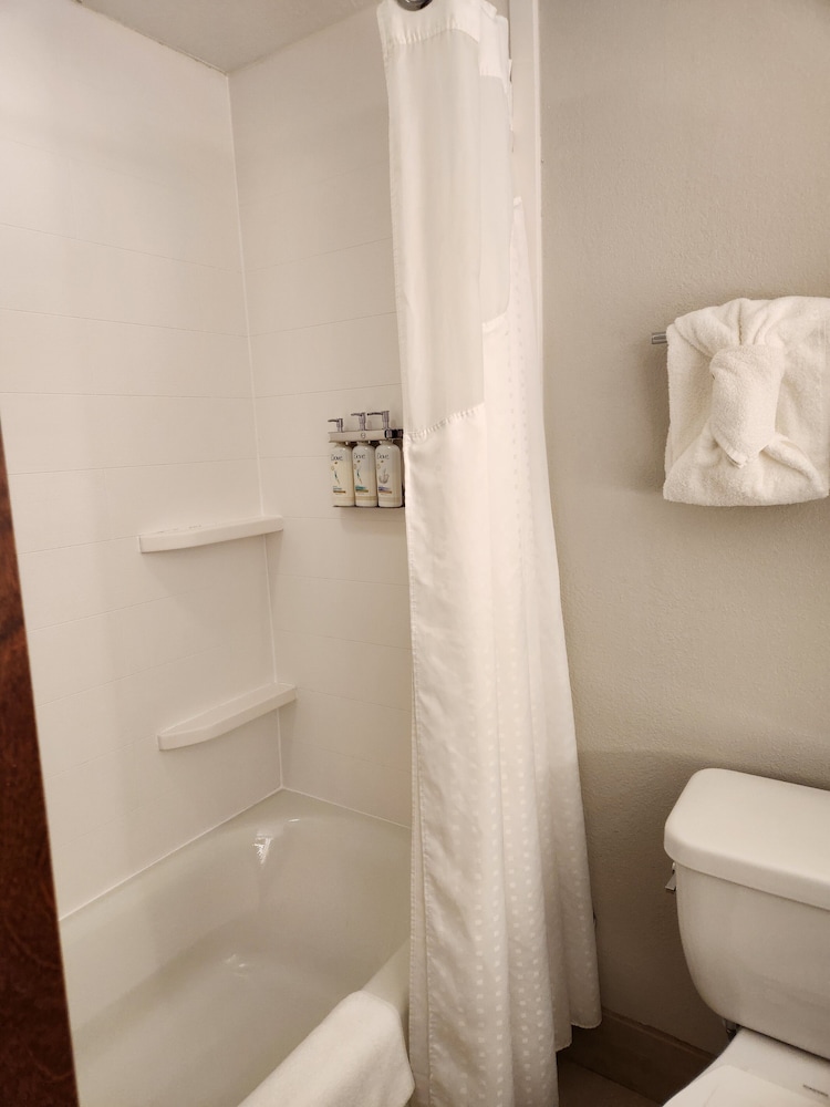 Standard Room, Multiple Beds - Photo 8