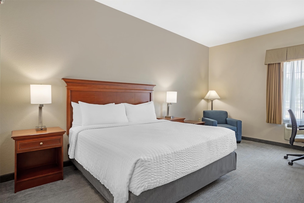 Standard Room, 1 King Bed, Accessible, Non Smoking photo 1