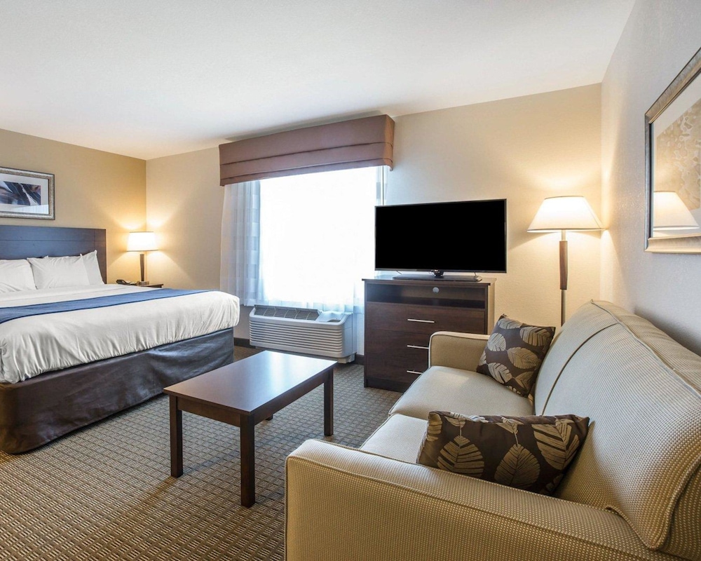 Suite, 1 King Bed with Sofa bed, Non Smoking photo 1