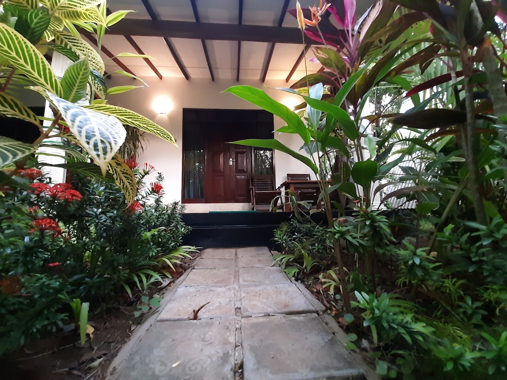 Family Tree House, 2 Bedrooms photo 3