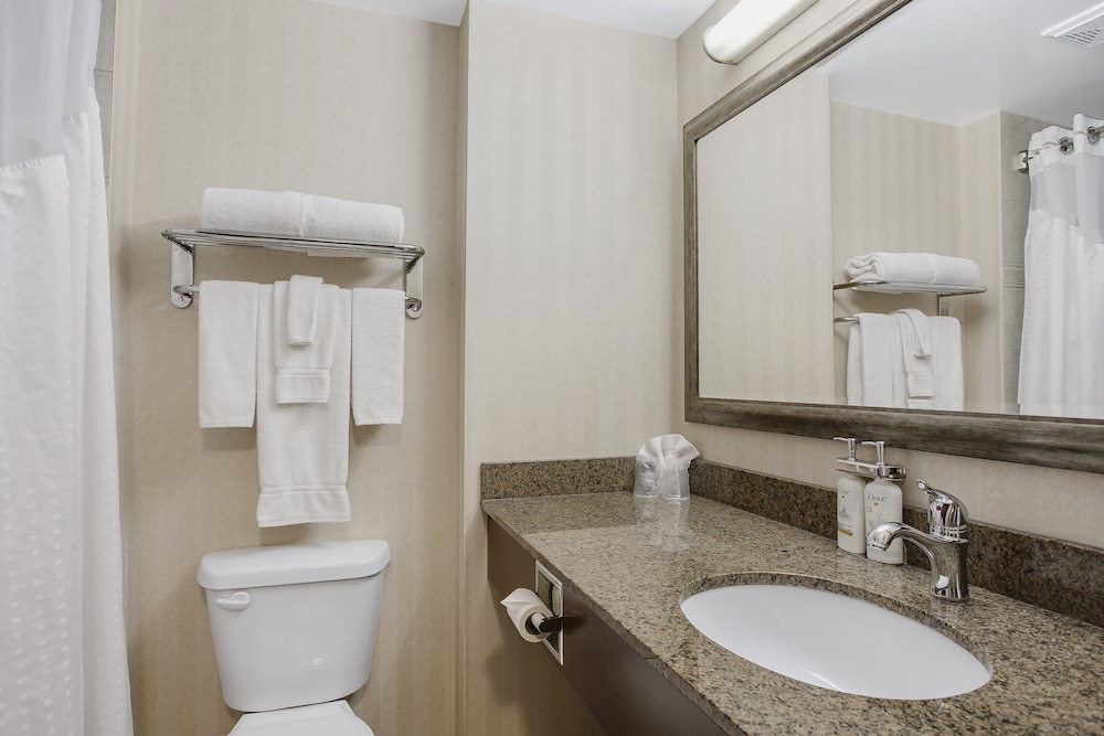 Standard Room, 1 King Bed, Accessible, Jetted Tub - Photo 7