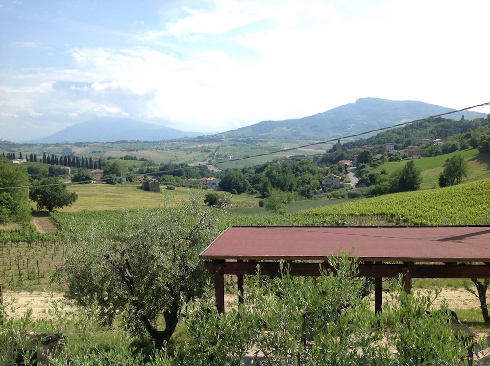 Agriturismo Terre Vineate, Zdjęcie 4