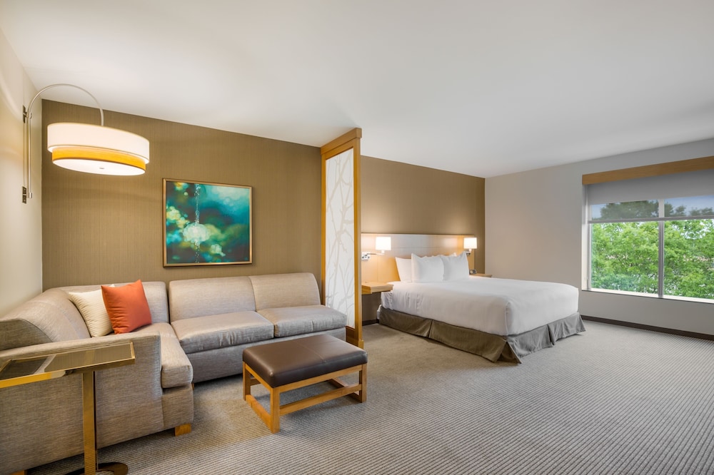 Classic Room, 1 King Bed with Sofa bed photo 1