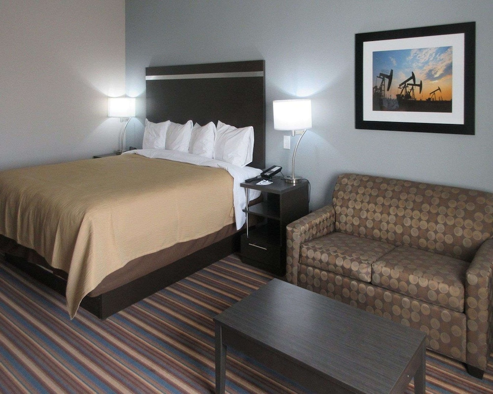 Suite, 1 King Bed with Sofa bed, Accessible, Non Smoking (Roll-In Shower, Mobility & Hearing)