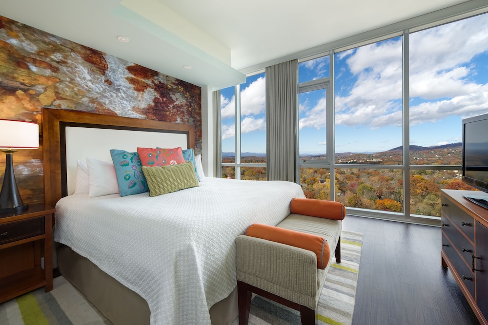 Hotel Indigo Asheville Downtown by IHG, Foto 14