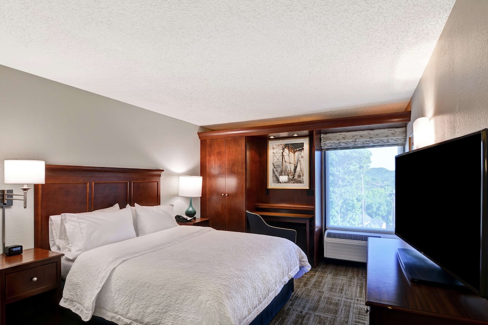 Room, 1 Queen Bed, Accessible, Bathtub - Photo 1