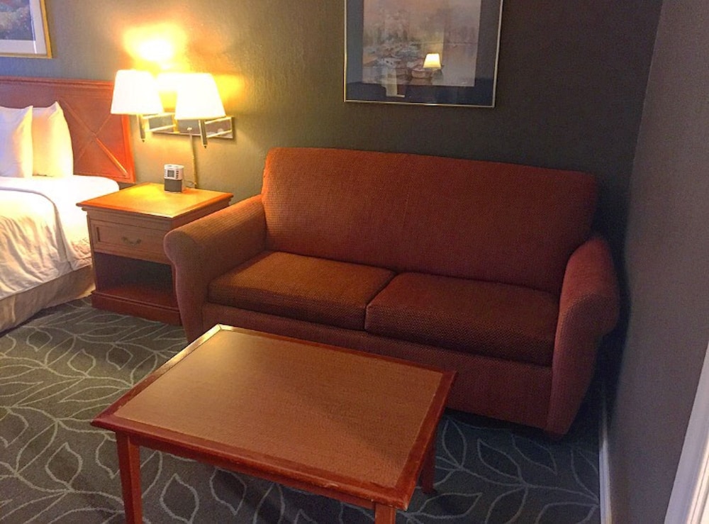 Deluxe Room, 1 King Bed with Sofa bed, Refrigerator & Microwave, Garden Area photo 2