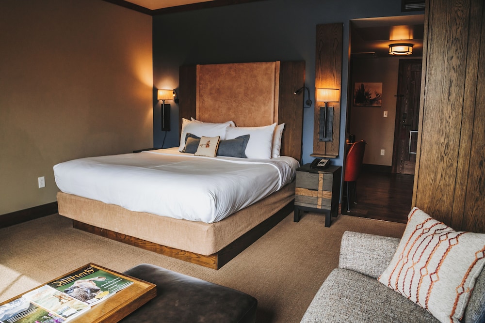 Room, 1 King Bed with Sofa bed, Mobility Accessible photo 3