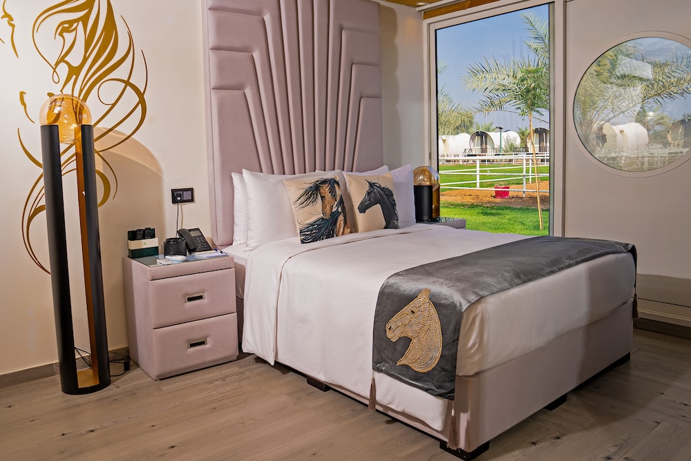 Deluxe Single Room photo 3