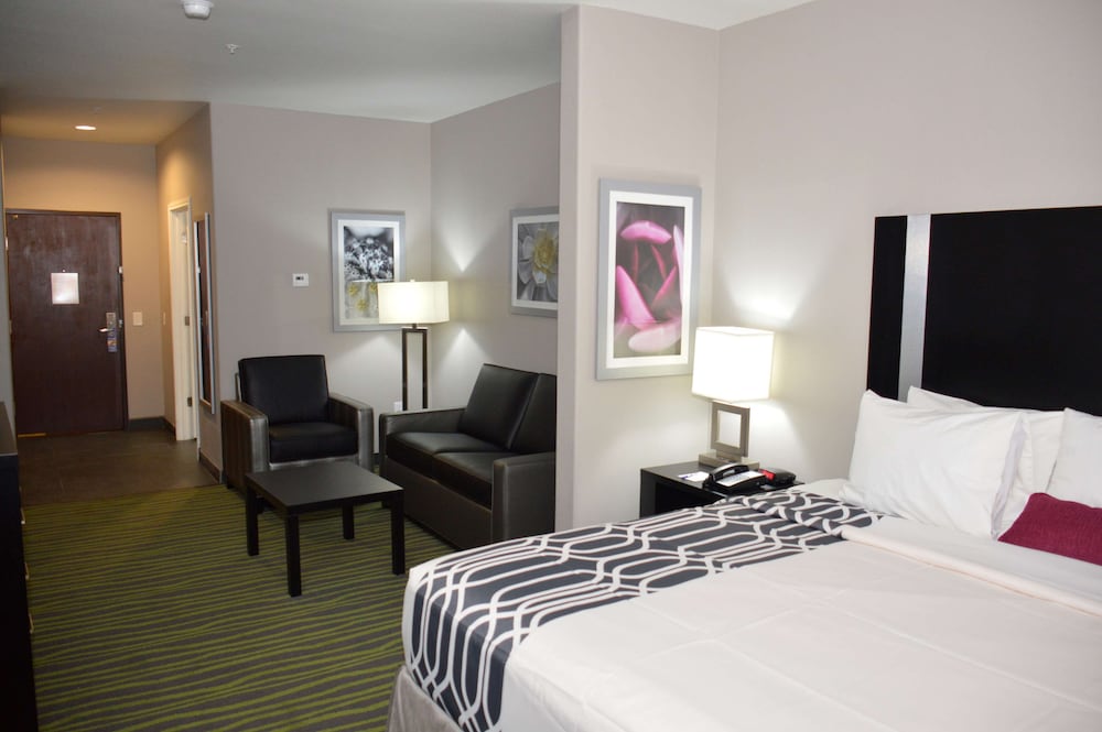Suite, 1 King Bed, Non Smoking, Refrigerator & Microwave (with Sofabed) photo 1