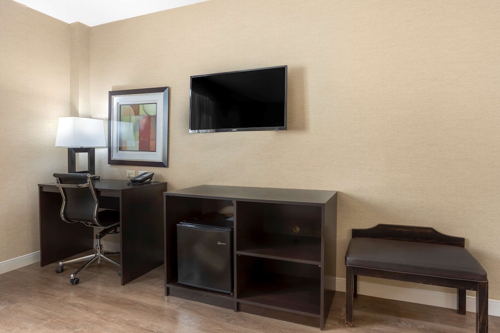 Suite, 1 King Bed with Sofa bed, Non Smoking, Refrigerator (with Sofabed) photo 3